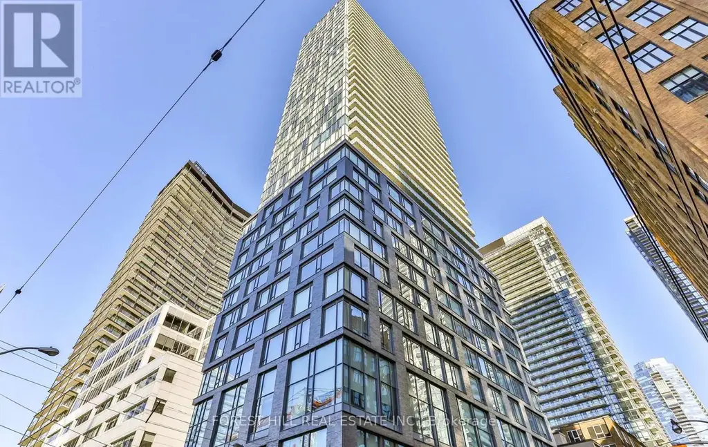206 - 334 Adelaide Street, Toronto (Waterfront Communities)